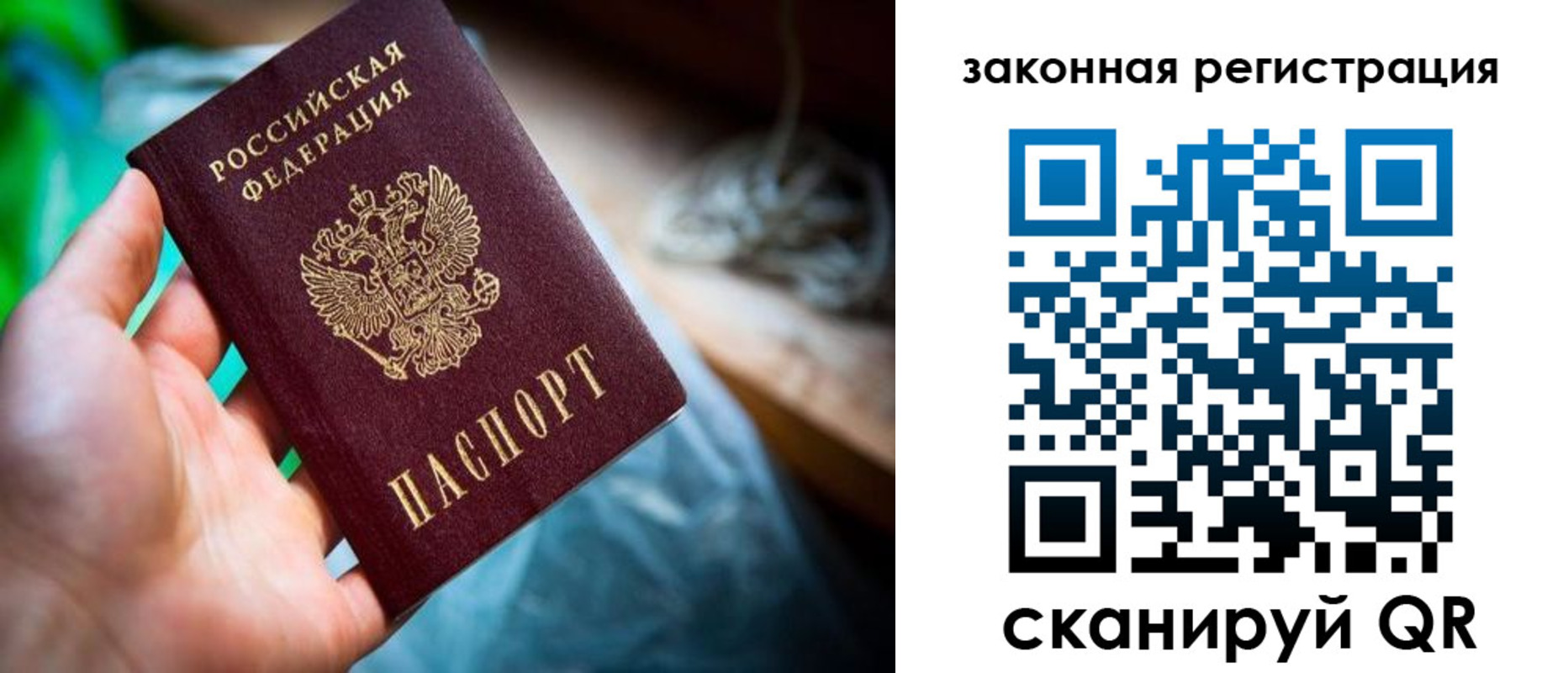 прописка в Ярославле